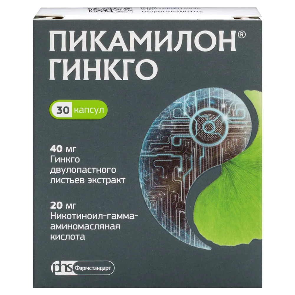 Picamilon ginkgo 40mg + 20mg 30 capsules