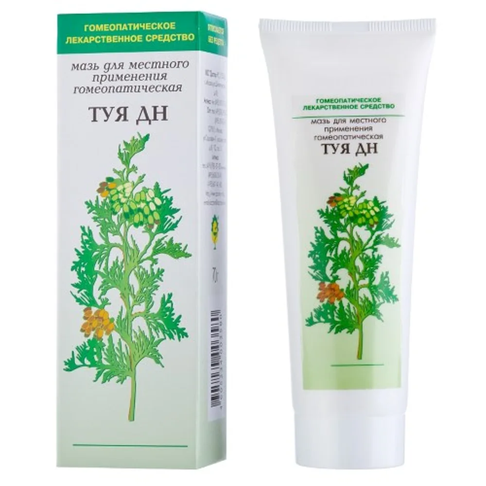Thuja D N ointment for local use homeopathic 70 g