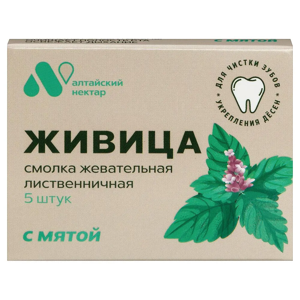 Smolka Resin Chewing Gum from Larch Resin 5 pcs. with Mint
