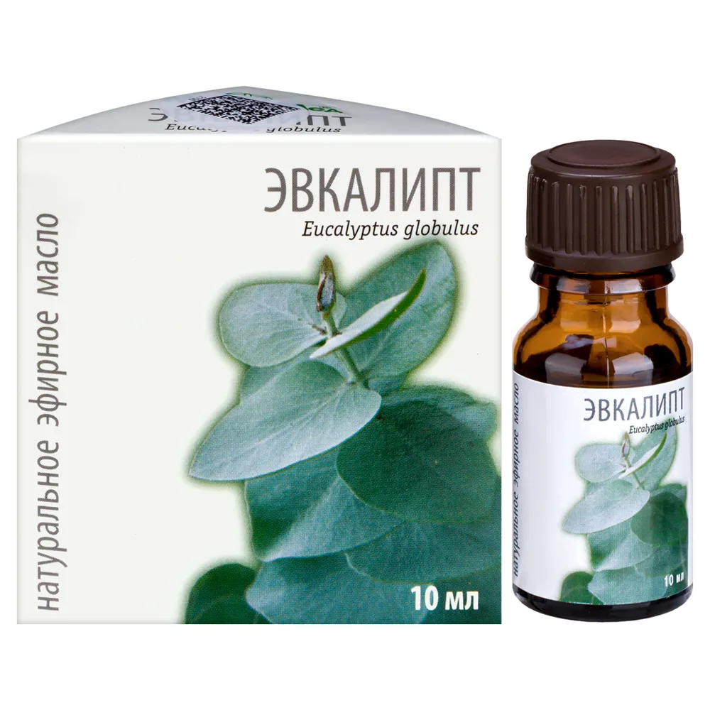 Eucalyptus essential oil 10 ml in individual packaging