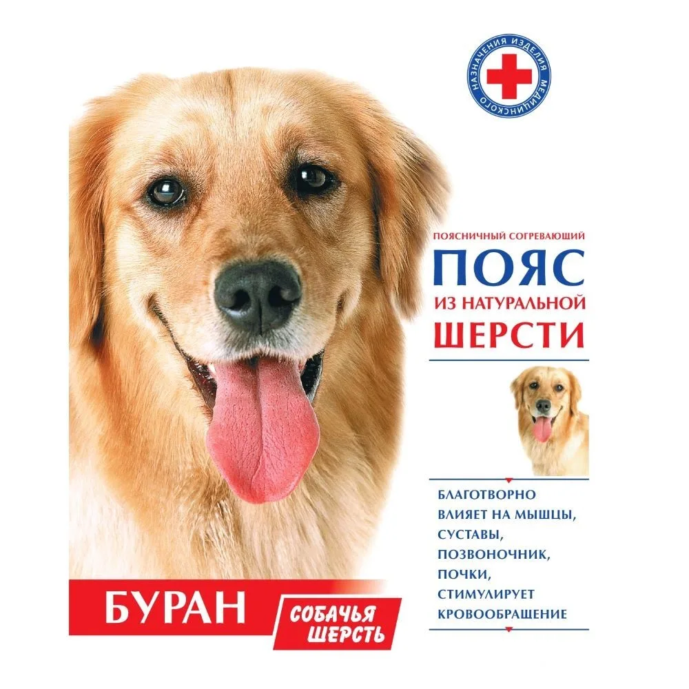 support belt lumbar warming made of natural wool Burana/dog wool/size 60-62