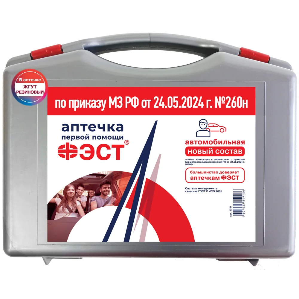 First aid kit Fest with medical supplies automotive/plastic case/gray/3751/260 pcs