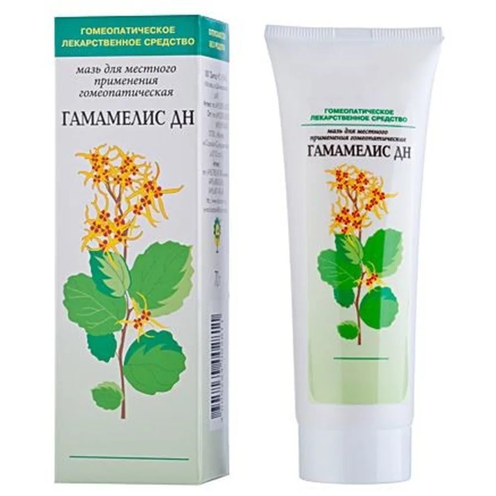 Hamamelis DN ointment for local homeopathic use 70 g